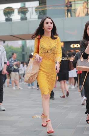 H26、惊艳的黄玫瑰