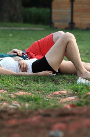 No293 Canon5D草地系列