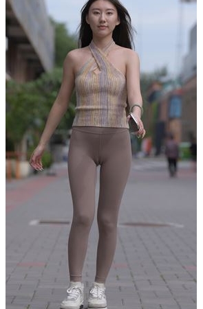 与山茶撞满怀(579P)