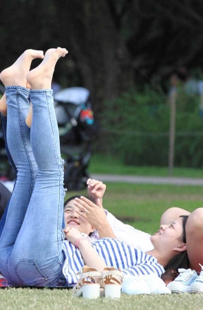 草地上的牛仔MM