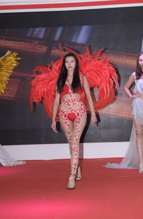 性感的内衣走秀