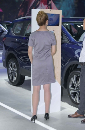 灰色的肉 丝女孩