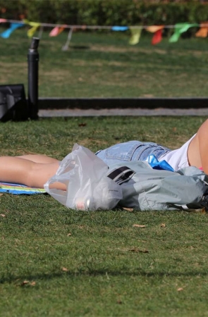 No329 Canon5D草地系列