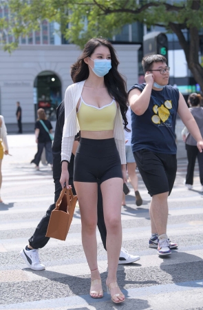 一只麋鹿摄影作品 一夕一夏