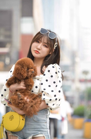 养泰迪的可爱女孩