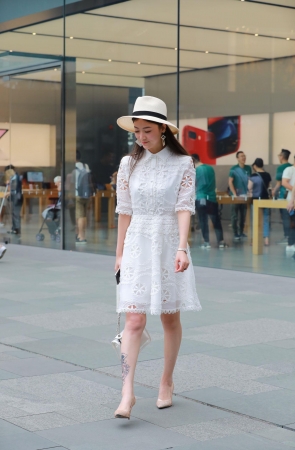 苗条淑女，君子好逑