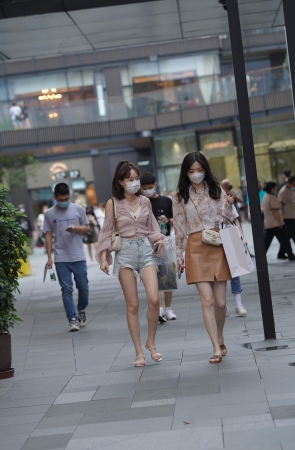 云想衣裳花想容