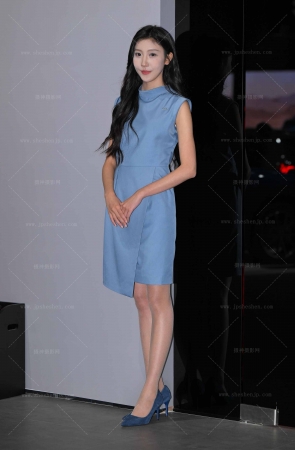 SH25-72-33√奥迪肉丝俩礼仪