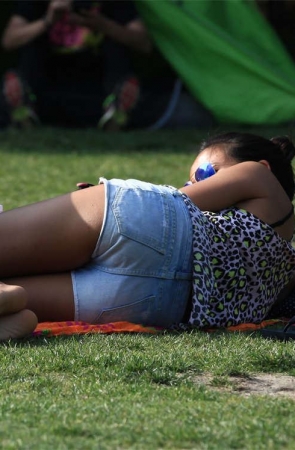 No302 Canon5D草地系列