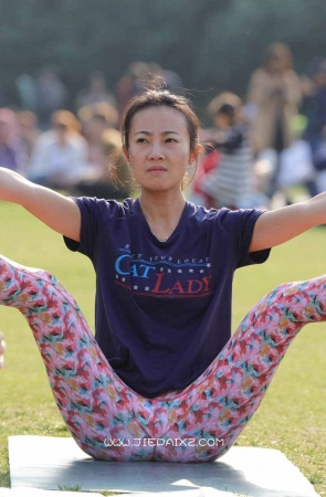 各种瑜伽动作展示