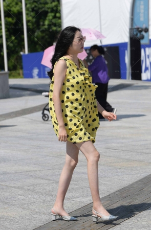 波点波点波波点/231217-3-82 14P