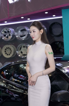 端庄优雅车模美女（敏敏）