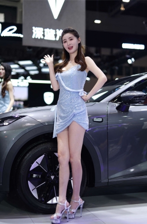 2025深圳粤港澳大湾区车展图集