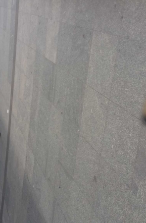 丰硕圆润健身裤