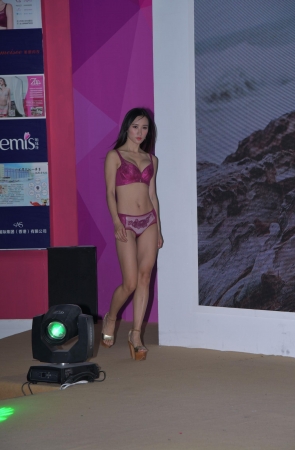 漂亮的内衣模特美女