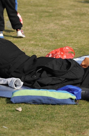 草地上看书的丝腿美女