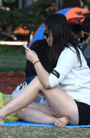 No294 Canon5D草地系列