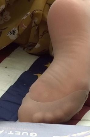 草坪上的聚会 [224 MB/MP4]