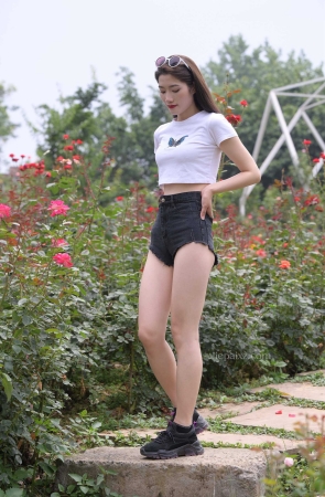 [魂魂专区] 引碟 【图片➕视频】