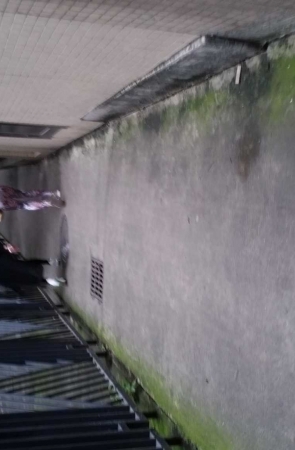 非常个性的紧身裤