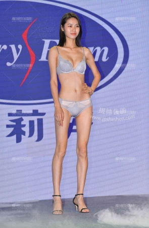 938-11+53/茂盛黑森林 25P