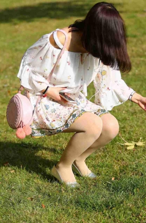 蒲公英第二季3A2191[20M]