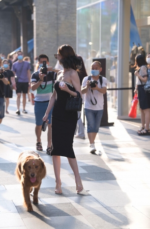 2272-23+123美女出来遛狗了～