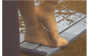 4K 短肉丝美足 1