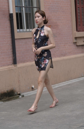 一只麋鹿摄影作品 一米阳光