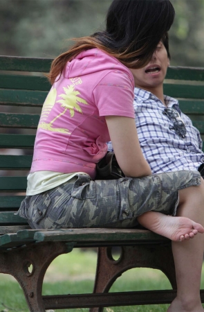 No388 最奔放的长椅图