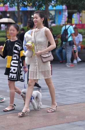 遛狗美女，迷倒我了~