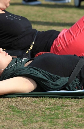 No311 Canon5D草地系列