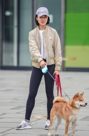 溜狗中的瑜珈裤美女