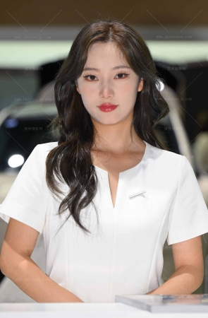 25829-27-35√沃尔沃-俩礼仪，喜欢那个呢 8P