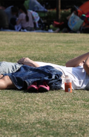 No295 Canon5D草地系列