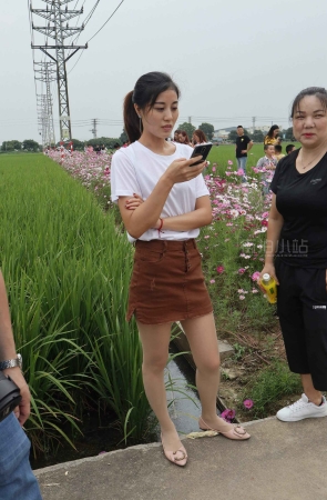 别人家的美丽女友